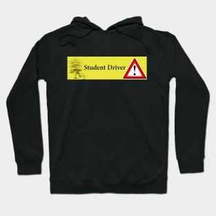 Student driver car crash funny depiction Hoodie